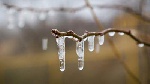 Рекордный холод в мае Рекордный холод в мае
